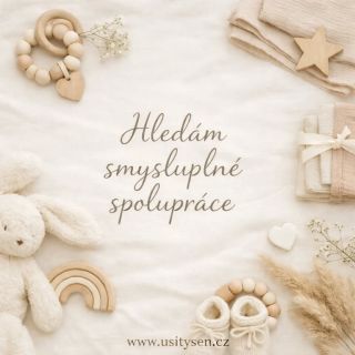 Čím dál víc cítím, že svou značku UŠITÝ SEN✨ bych ráda posunula dále. A to cestou spoluprací – s malými obchody (i...